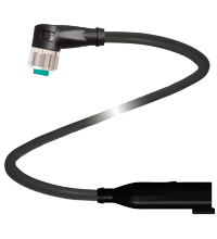 V15-W-BK0,5M-PUR-O1-DT4P-G 适配器缆线