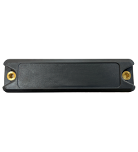 IUC86-F251-M-FR1 10pcs RFID 应答器