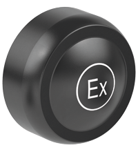 CFP.BK.SP Blanking Plug (Ex e)